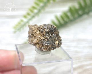 Creedite Specimen #3