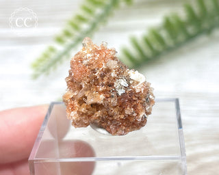 Creedite Specimen #4