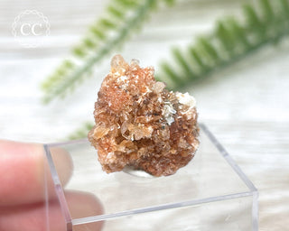 Creedite Specimen #4