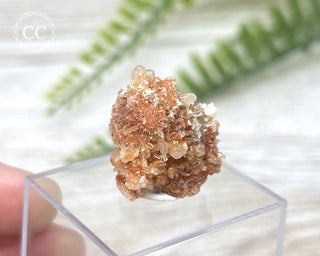 Creedite Specimen #4