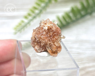 Creedite Specimen #4