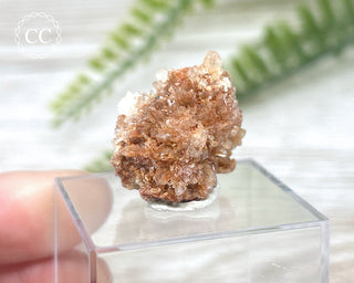 Creedite Specimen #4