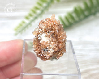 Creedite Specimen #4