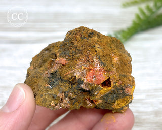 Crocoite Specimen #1