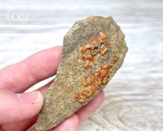 Crocoite Specimen #1