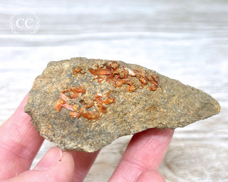Crocoite Specimen #1
