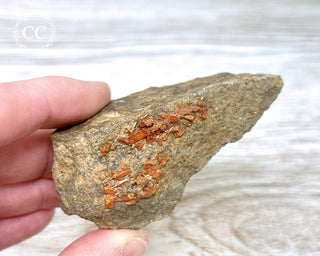 Crocoite Specimen #1