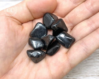 Crown of Silver - Psilomelane Tumbled Crystals in hand