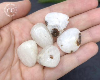 Cryolite Tumbled Crystals in hand