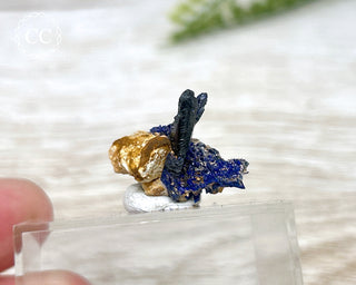Crystalline Azurite Specimen #4