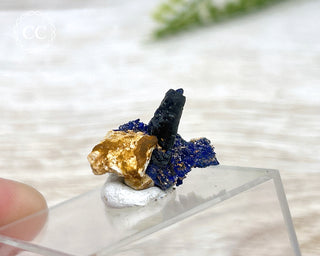 Crystalline Azurite Specimen #4
