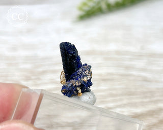 Crystalline Azurite Specimen #4