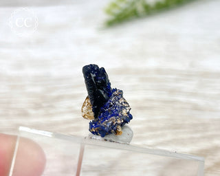 Crystalline Azurite Specimen #4