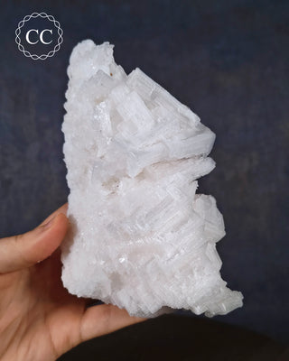 A hand holding a Cubic Halite cluster from Namibia 