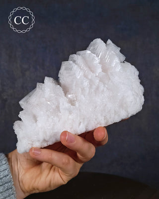 Cubic Halite Cluster - Namibia #2