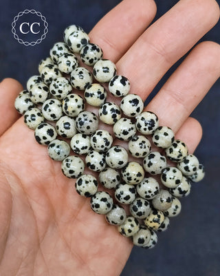 Dalmatian Stone 8mm Beaded Bracelets in hand