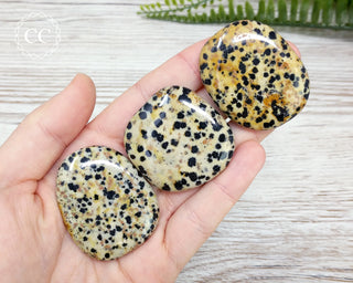 Dalmatian Stone Palm Stone