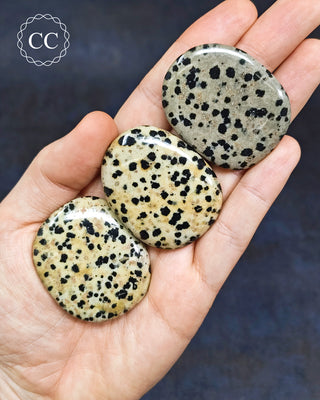 Dalmatian Stone Palm Stone