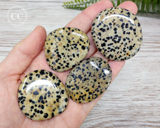 Dalmatian Stone Palm Stones in hand