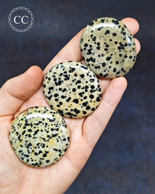 Dalmatian Stone Palm Stone
