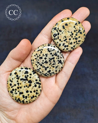 Dalmatian Stone Palm Stones in hand