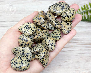 Dalmation Stone Tumbled Crystals in hand