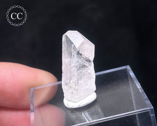 Danburite Crystal #1