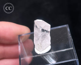 Danburite Crystal #1