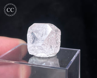 Danburite Crystal #2