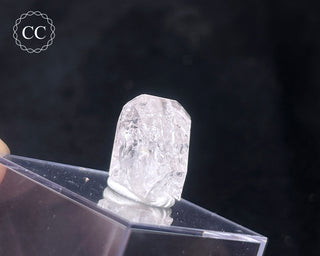 Danburite Crystal #2