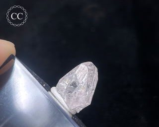 Danburite Crystal #2