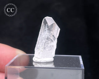 Danburite Crystal #1