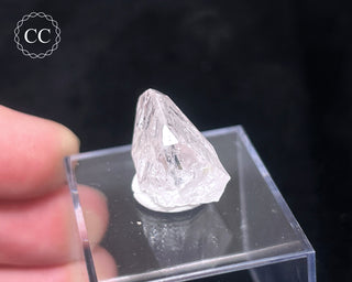 Danburite Crystal #2