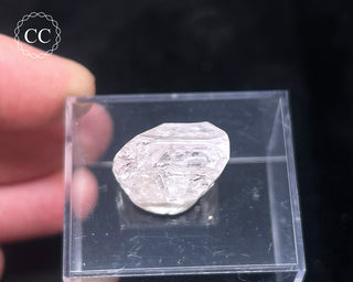 Danburite Crystal #2