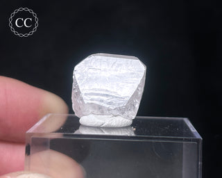 Danburite Crystal #2