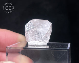 Danburite Crystal #2
