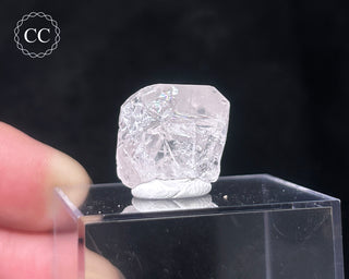 Danburite Crystal #2