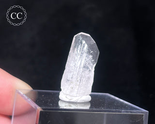 Danburite Crystal #1