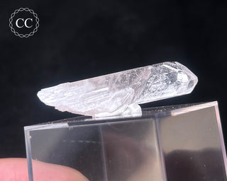 Danburite Crystal #3