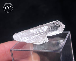 Danburite Crystal #3