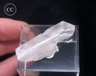 Danburite Crystal #3