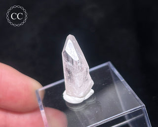 Danburite Crystal #1