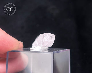 Danburite Crystal #3