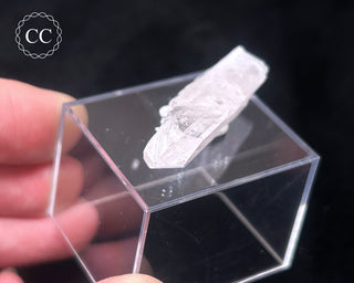 Danburite Crystal #3