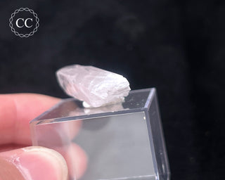 Danburite Crystal #3