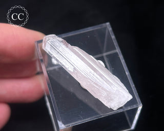 Danburite Crystal #3