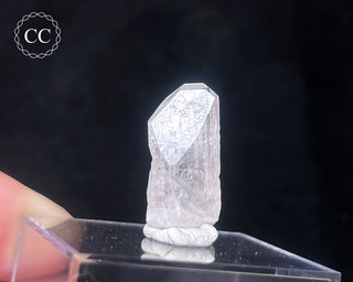 Danburite Crystal #1