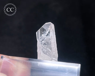 Danburite Crystal #1