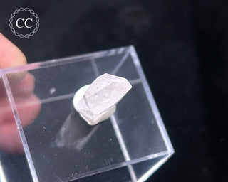 Danburite Crystal #1