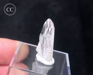 Danburite Crystal #1